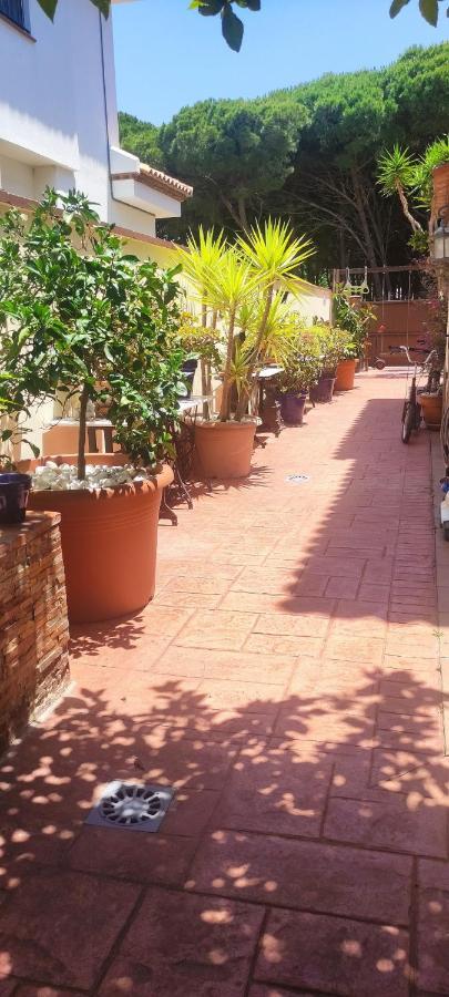 Chalet Con Capacidad Para 8 Personas Chiclana de la Frontera Zewnętrze zdjęcie
